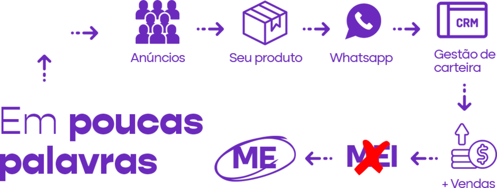 processo de crescimento do MEI